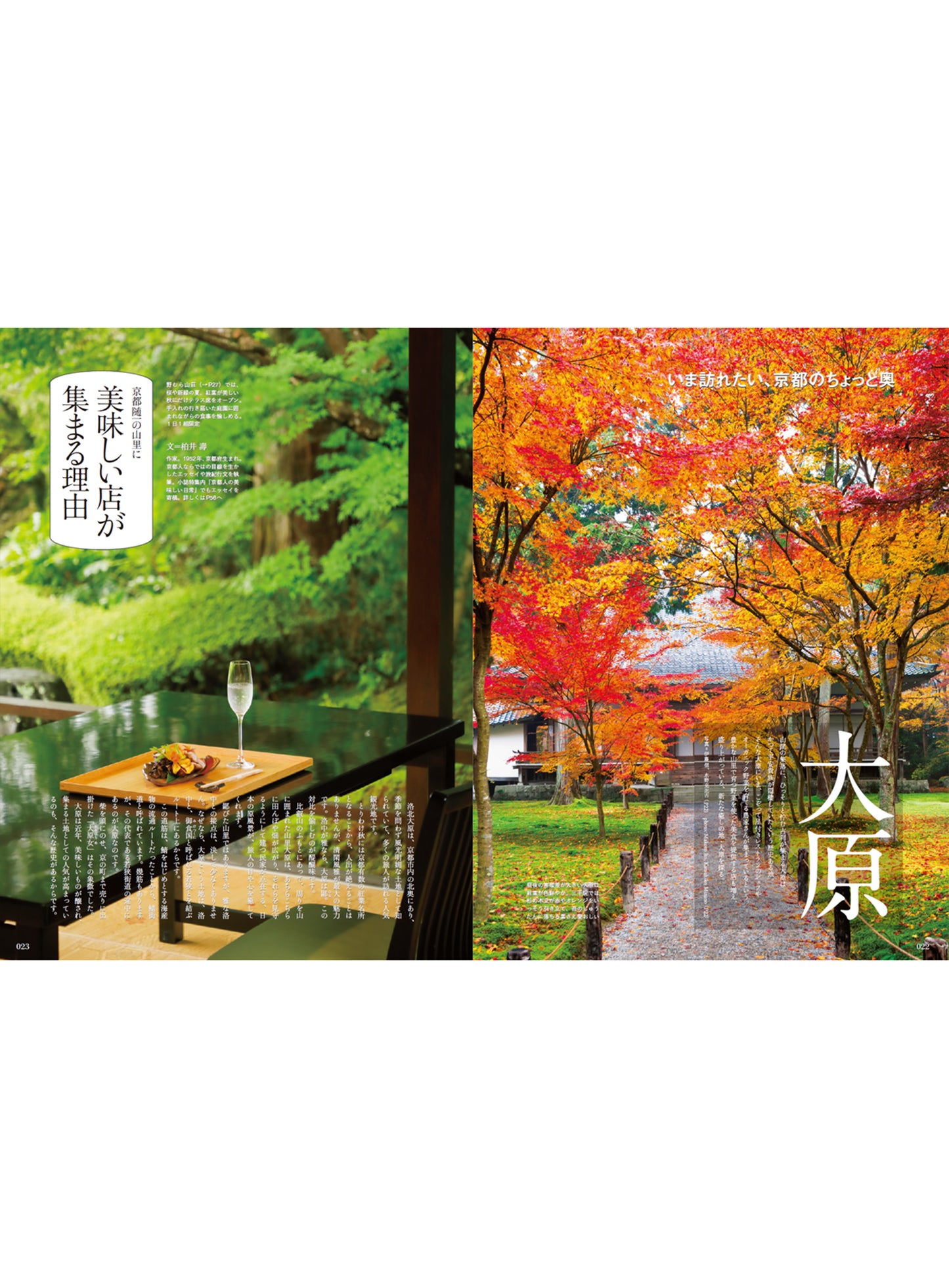 Discover Japan 2023年11月号「京都 — 今年の秋は、ちょっと”奥”がおもしろい」(表紙:常盤貴子さん)2023/10/6発売