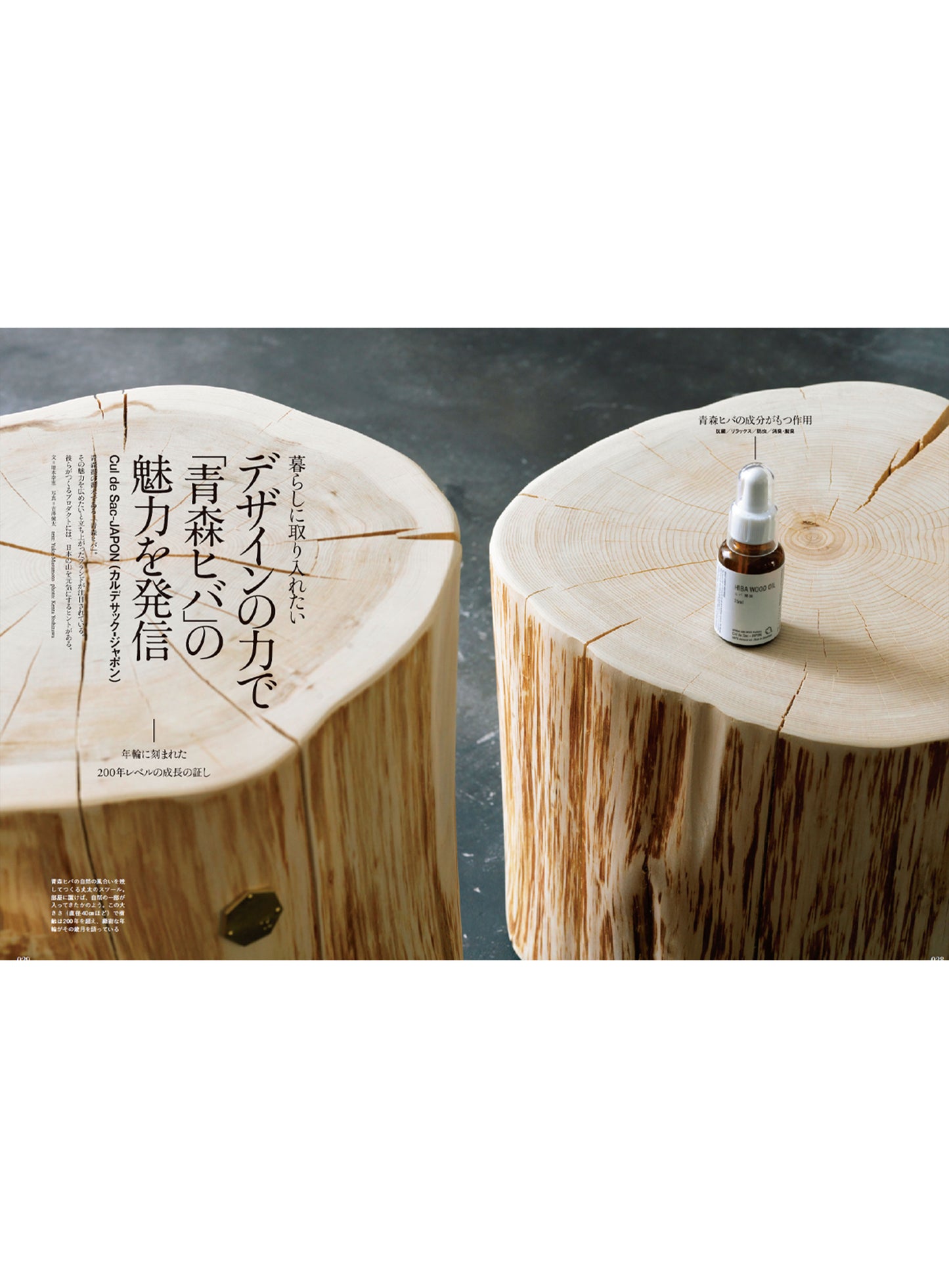 Discover Japan 2023年9月号「木と生きる」2023/8/4発売