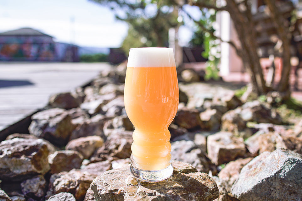 【NOMCRAFT Brewing】KNIGHT FISHERMAN