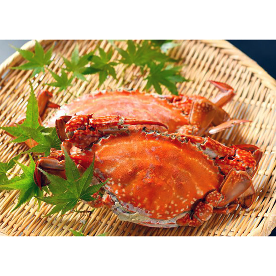 【角上楼】伊良湖産蒸し渡り蟹満喫セット 特大サイズ (2杯)