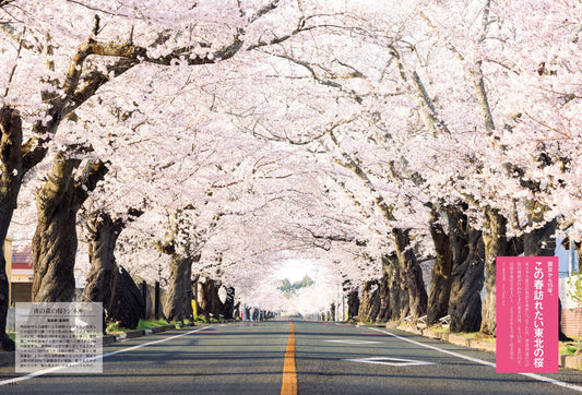 2026年4月号「地域の“旬”感へ」発売