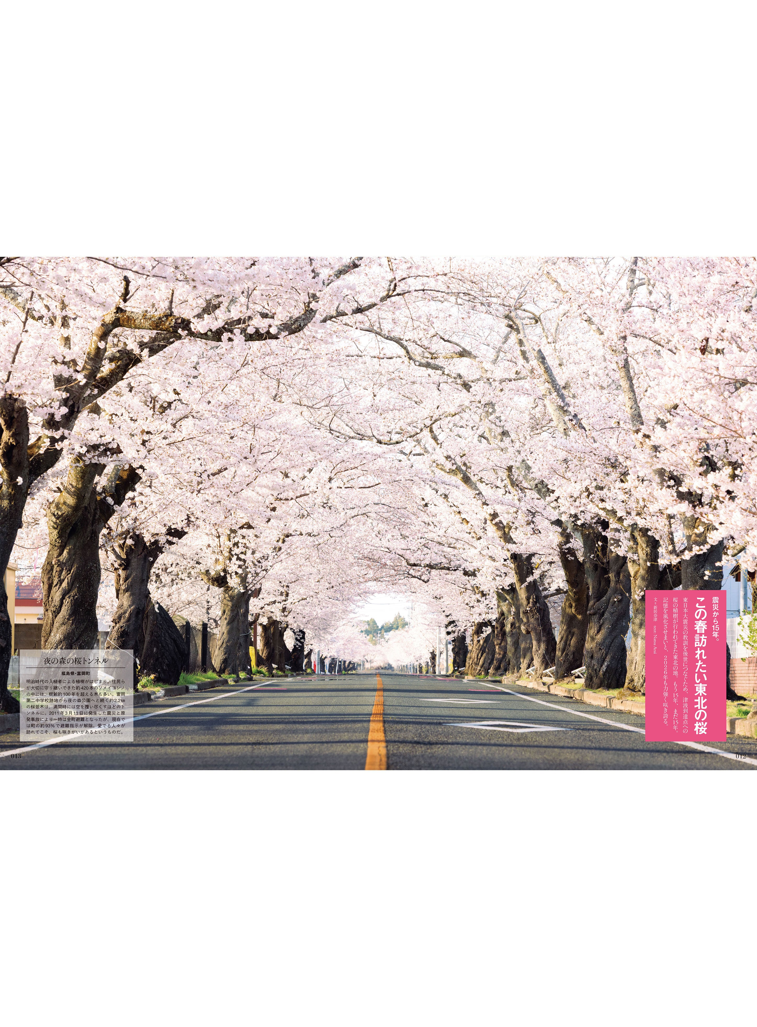 Discover Japan 2026年4月号「地域の“旬”感へ」｜Discover Japan 公式