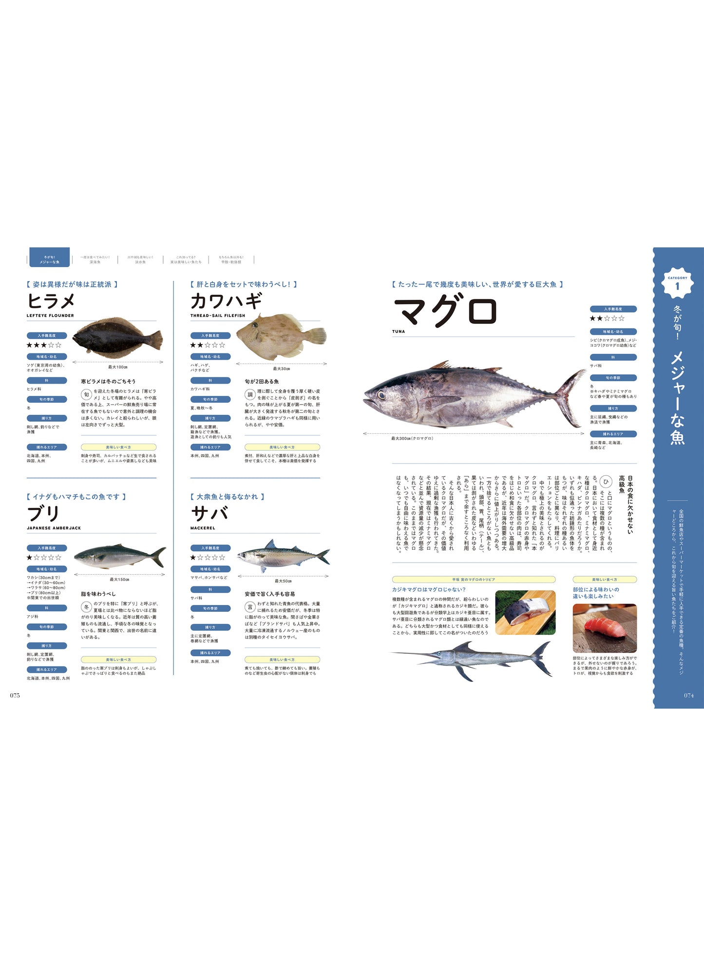 Discover Japan 2024年12月号「米と魚」 2024/11/6発売