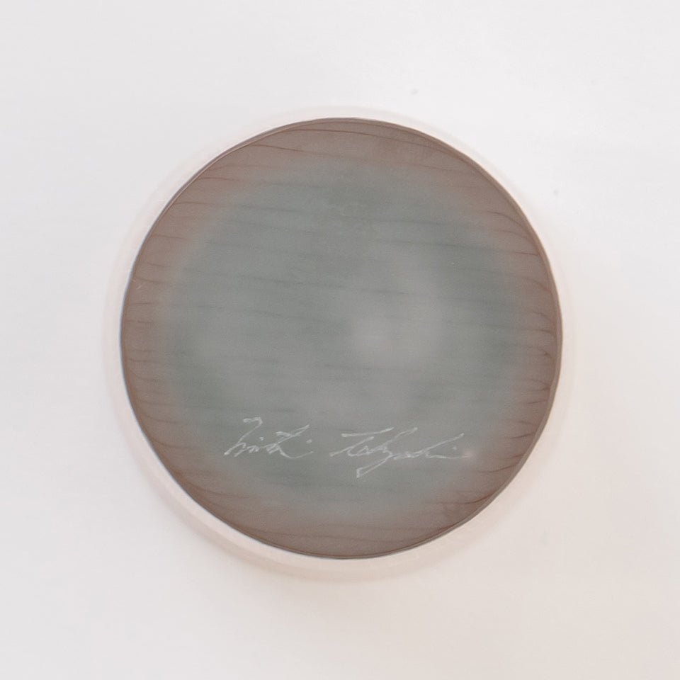 光井威善 silence サイレンス 光井威善 glass silence (pink brown × gray type b) [4]｜Discover