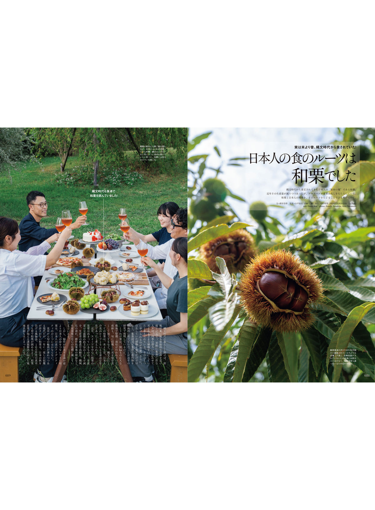 Discover Japan 2026年11月号「日本のはじまりを知る旅へ」 2026/10/6発売