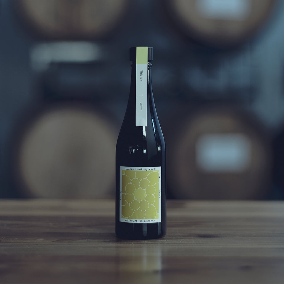 ANTELOPE This is it｜Discover Japan 公式オンラインショップ