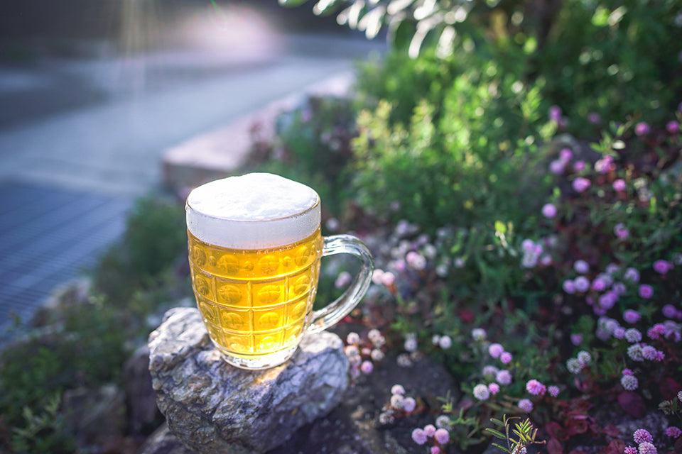 【NOMCRAFT Brewing】NOMCRAFT IPA