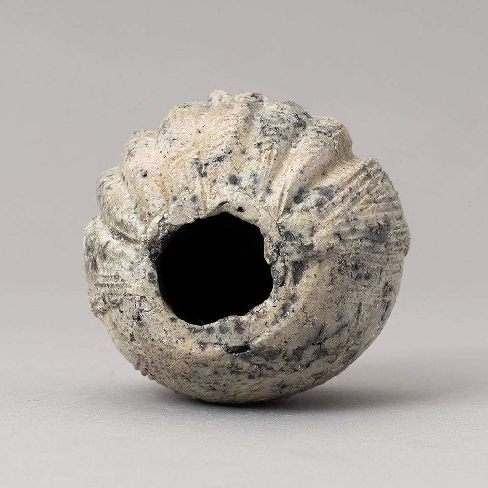 【SUIYO】赤子達磨 穴山大輔作 [S-70A]