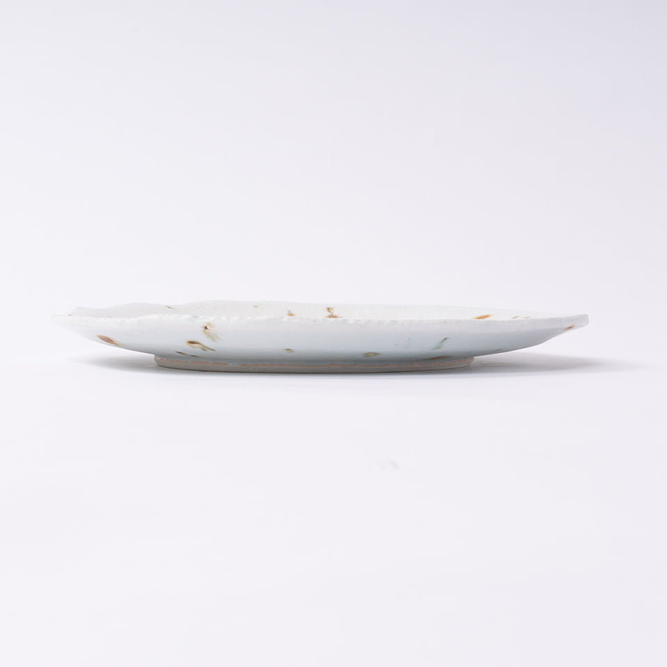 【田村一】dragoneye plate [8]