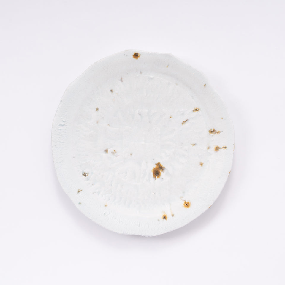 【田村一】dragoneye plate [8]