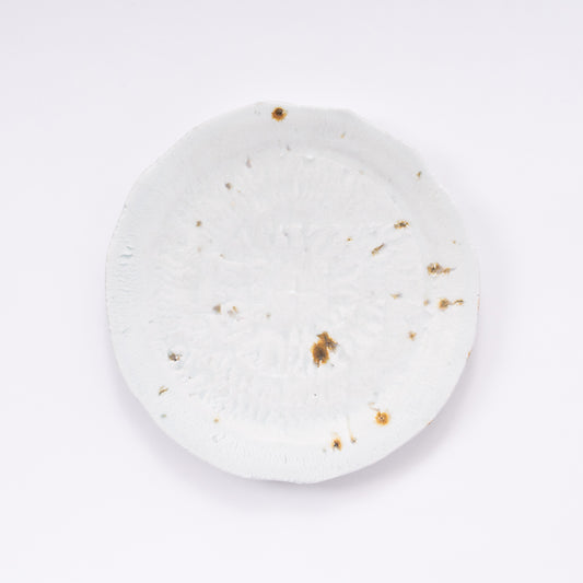 【田村一】dragoneye plate [8]