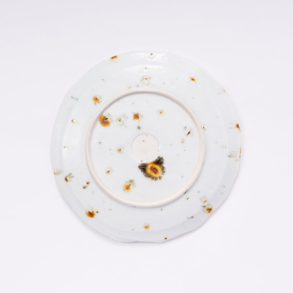 【田村一】dragoneye plate [8]