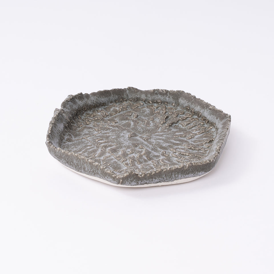 【田村一】dragoneye plate ns [55]