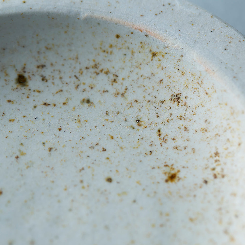 【壷田和宏・亜矢】皿 [215]