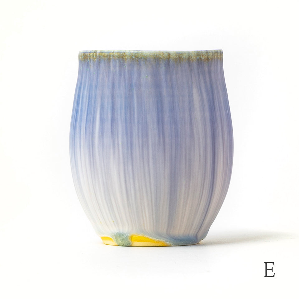 岩崎龍二 取り皿（2個セット） 極美品 (B)
